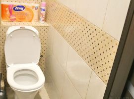 2-к кв. Псковская область, Псков Рижский просп., 52Б (50.0 м²) - . Псков - фото 10