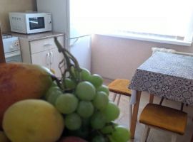 1-к кв. Волгоградская область, Волжский ул. Наримана Нариманова, 12А (30.0 м²) - . Волжский - фото 9