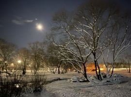 2-к кв. Псковская область, Псков ул. Гоголя, 39 (69.0 м²) - Гоголя. Псков - фото 17
