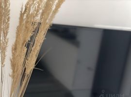 Студия Московская область, Домодедово Востряково мкр, ул. Донская, 1 (24.0 м²) - Краснодонская (ГСК N 767 тер.). Домодедово - фото 14