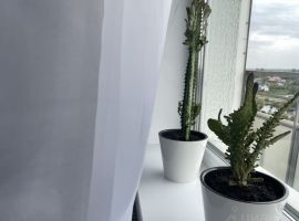 Студия Московская область, Домодедово Востряково мкр, ул. Донская, 1 (24.0 м²) - Краснодонская (ГСК N 767 тер.). Домодедово - фото 4