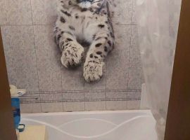 2-к кв. Ростовская область, Ростов-на-Дону Университетский пер., 111 (40.0 м²) - . Ростов-на-Дону - фото 14