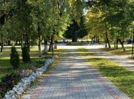 1-к кв. Курская область, Курск ул. Дзержинского, 88 (30.0 м²) - Дзержинского. Курск - фото 15