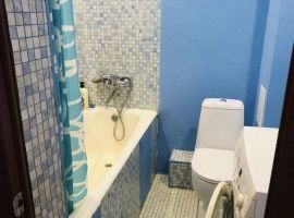 Студия Пермский край, Пермь Подлесная ул., 3А (28.8 м²) - Подлесная. Пермь - фото 12
