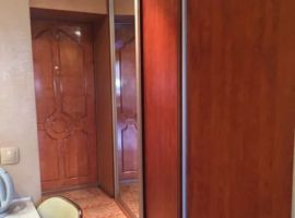 Студия Пермский край, Пермь Подлесная ул., 3А (28.8 м²) - Подлесная. Пермь - фото 1
