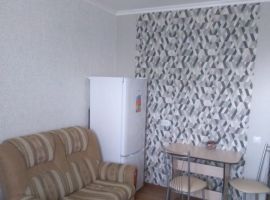 Студия Нижегородская область, Нижний Новгород Московское ш., 167к4 (25.0 м²) - Московское шоссе 22 км. Нижний Новгород - фото 7