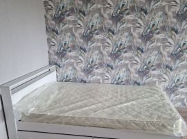 1-к кв. Псковская область, Псков Юбилейная ул., 50 (32.0 м²) - Юбилейная. Псков - фото 3