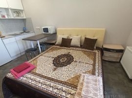 Студия Новосибирская область, Новосибирск ул. Гоголя, 205 (27.0 м²) - Гоголя. Новосибирск - фото 10
