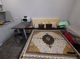 Студия Новосибирская область, Новосибирск ул. Гоголя, 205 (27.0 м²) - Гоголя. Новосибирск - фото 2