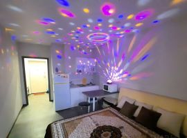 Студия Новосибирская область, Новосибирск ул. Гоголя, 205 (27.0 м²) - Гоголя. Новосибирск - фото 3
