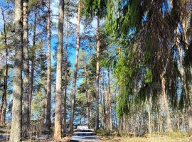 1-к. дом, 56 м² - . Каменногорск - фото 16