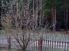 Дом 40 м² на участке 16 сот. - . Касимов - фото 4