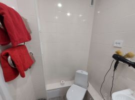 Студия Псковская область, Псков Рижский просп., 58 (28.0 м²) - . Псков - фото 10