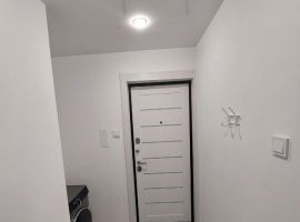 Студия Псковская область, Псков Рижский просп., 58 (28.0 м²) - . Псков - фото 14