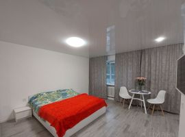 Студия Псковская область, Псков Рижский просп., 58 (28.0 м²) - . Псков - фото 3