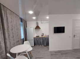 Студия Псковская область, Псков Рижский просп., 58 (28.0 м²) - . Псков - фото 6