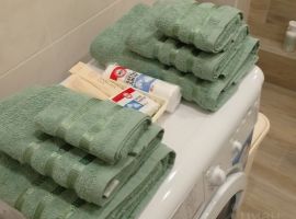 2-к кв. Рязанская область, Рязань ул. Брестская, 3 (47.0 м²) - Брестская. Рязань - фото 2