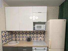 Студия Новосибирская область, Новосибирск ул. Кузьмы Минина, 9/3 (32.4 м²) - . Новосибирск - фото 3