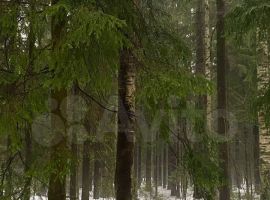 3-к. дом, 89 м² - Центральная (19 км Московского шоссе тер. Агалатово - фото 4