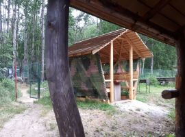 Дом 50 м² на участке 24 сот. - Учебно-спортивная база Лотос. Токсово - фото 12