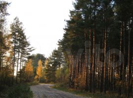 Дом 200 м² на участке 36 сот. - . Сясьстрой - фото 10