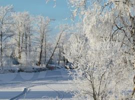 Дом 200 м² на участке 36 сот. - . Сясьстрой - фото 15