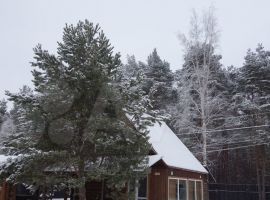 Дом 200 м² на участке 36 сот. - . Сясьстрой - фото 17