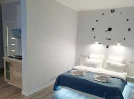 Студия Ленинградская область, Выборг ул. Сторожевой Башни, 17 (30.0 м²) - . Выборг - фото 18