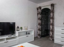 1-к кв. Псковская область, Псков ул. Волкова, 2 (30.0 м²) - . Псков - фото 15