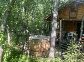Дом 50 м² на участке 10 сот. - Земляничная (Орлов Овраг тер.). Новопетровское - фото 15