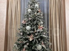 Дом 400 м² на участке 10 сот. - Сельская (СТ Сухая Самарка тер.). Троицк - фото 5