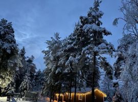 Дом 100 м² на участке 30 сот. - Пионерская. Выборг - фото 12