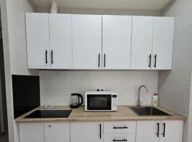 Студия Ростовская область, Ростов-на-Дону ул. Еляна, 52 (24.0 м²) - . Ростов-на-Дону - фото 9