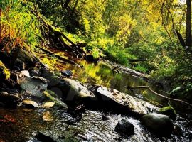3-к. дом, 58 м² - Речная. Высоковск - фото 14