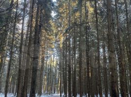 4-к. дом, 150 м² - . Троицк - фото 2