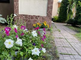 5-к. коттедж, 270 м² - Северная (СНТ Жигули снт). Саратов - фото 9