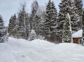6-к. дом, 400 м² - Светлая. Яхрома - фото 7