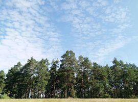 Коттедж 200 м² на участке 20 сот. - Сосновая. Калининск - фото 15