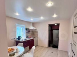 1-к. дом, 35 м² - Спасская. Новосибирск - фото 5