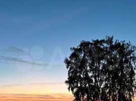 3-к. дом, 60 м² - Береговая (ТСГ N 709 тер). Бердск - фото 11