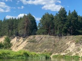 Дом 76 м² на участке 11 сот. - Садово-Дачная. Балашов - фото 10