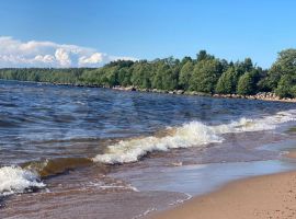 3-к. дом, 45 м² - Береговая (ТСГ N 709 тер). Приморск - фото 9