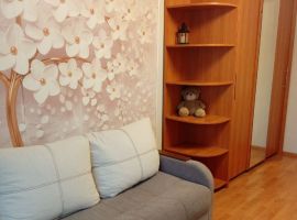 1-к кв. Ленинградская область, Выборг ул. Гагарина, 9 (29.0 м²) - Гагарина. Выборг - фото 1