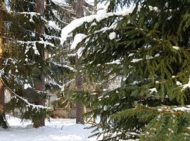 2-к. коттедж, 85 м² - Луговая. Волосово - фото 2