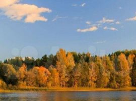 2-к. дом, 60 м² - . Окуловка - фото 11