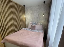 1-к кв. Нижегородская область, Нижний Новгород ул. Белинского, 89 (30.1 м²) - Белинского. Нижний Новгород - фото 1