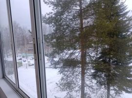 2-к кв. Пермский край, Чусовой ул. 50 лет ВЛКСМ, 9Г (27.0 м²) - . Чусовой - фото 6