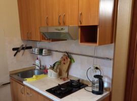 1-к кв. Ленинградская область, Сосновый Бор Ленинградская ул., 4 (36.0 м²) - Новоленинградская. Сосновый Бор - фото 3