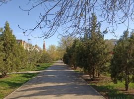 2-к кв. Ростовская область, Сальск ул. Ленина, 47 (39.0 м²) - Ленина. Сальск - фото 10