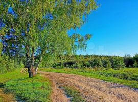 2-к. дом, 60 м² - Радужная. Богородск - фото 12